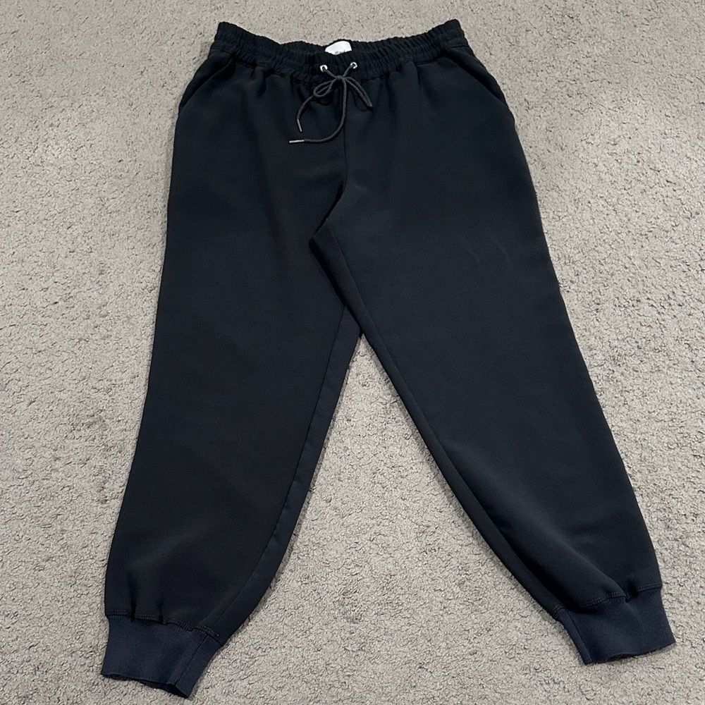 Aritzia Wilfred Jogger with Drawstring